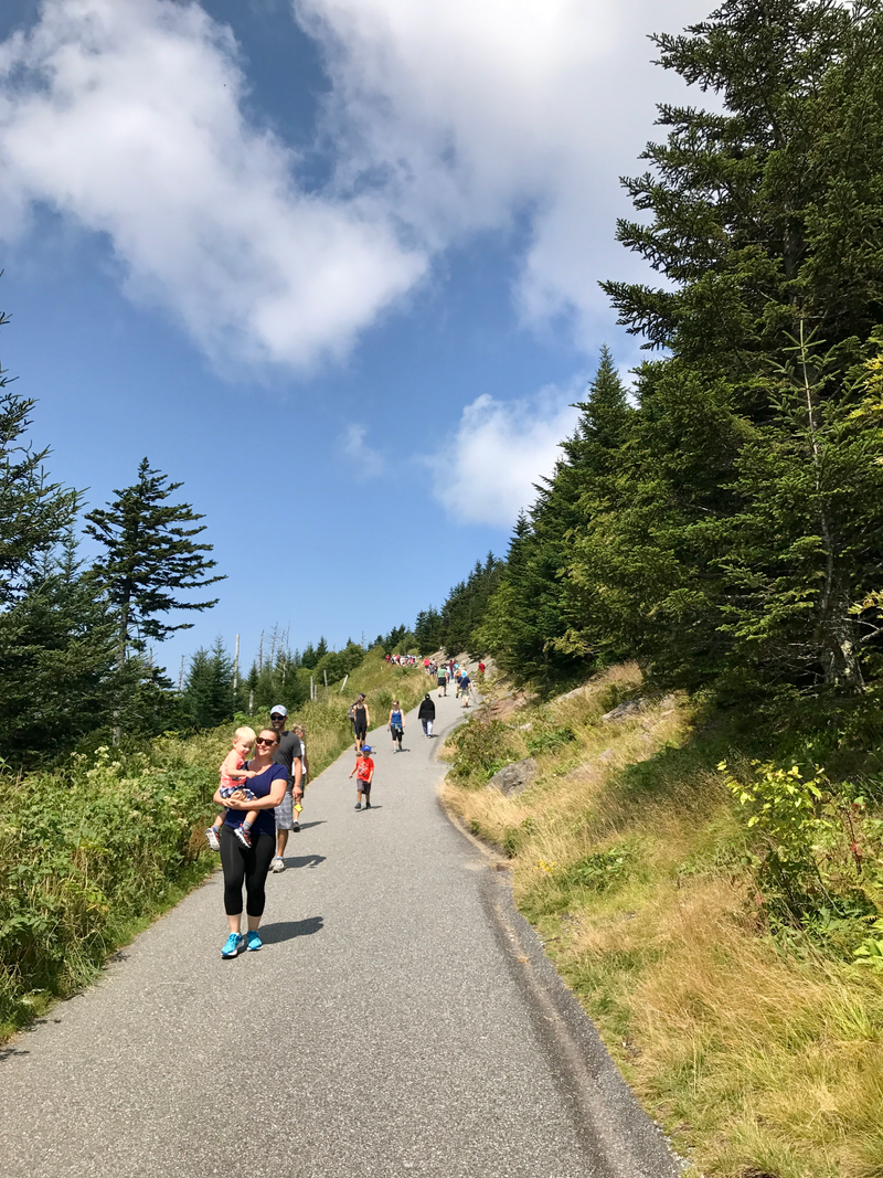 Illustration for article titled Clingmans Dome. Highest point in the Smokies.